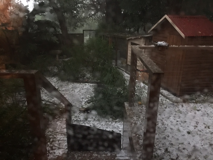 That's a serious amount of hail, now blanketing our back yard and still coming