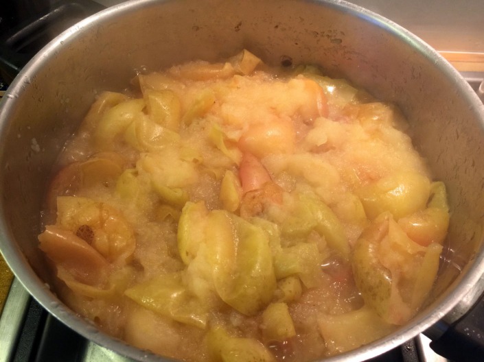 The apples cooked down to a soft pulp, skin, core, pips and all