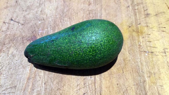 Our first (and only!) avocado